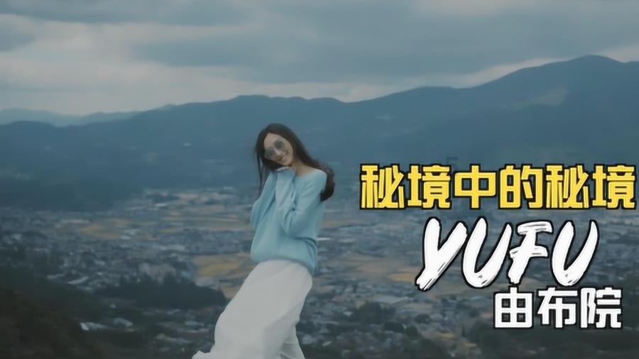动物拼一拼
