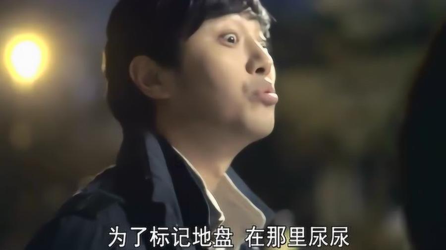 吸血鬼的谜语