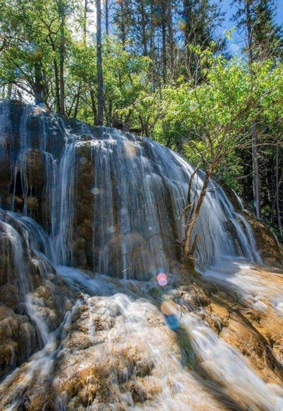 永远的7日之都