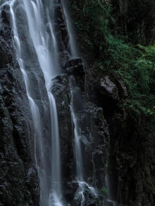 逃出熊蜂森林